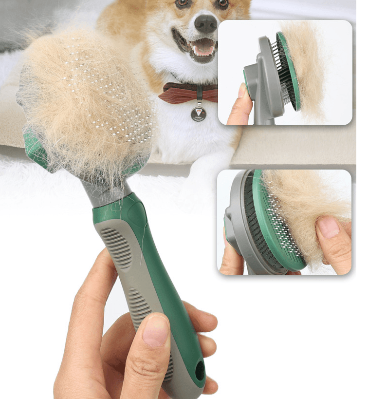 The Hair Whisperer: The Game-Changing Automatic Hair Removal Comb by Dog Hugs Cat